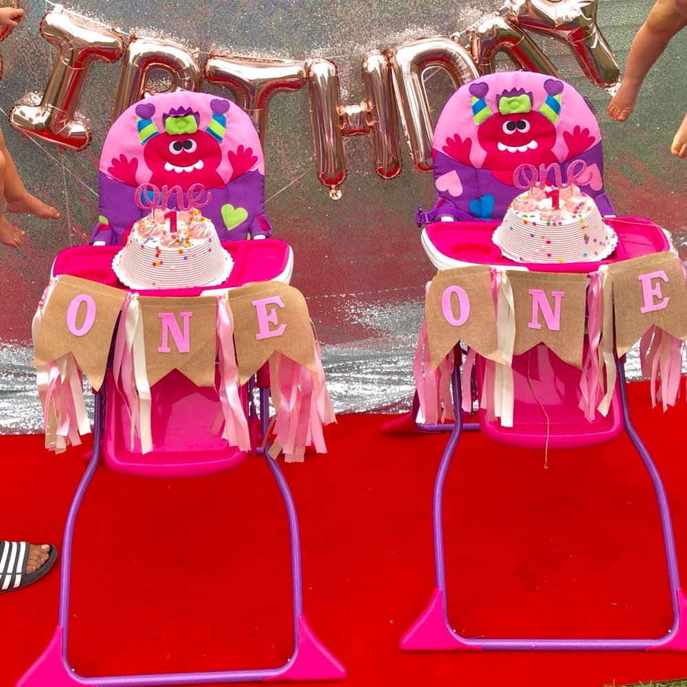 Twin Girls 1st Birthday Cake Smash Party Set